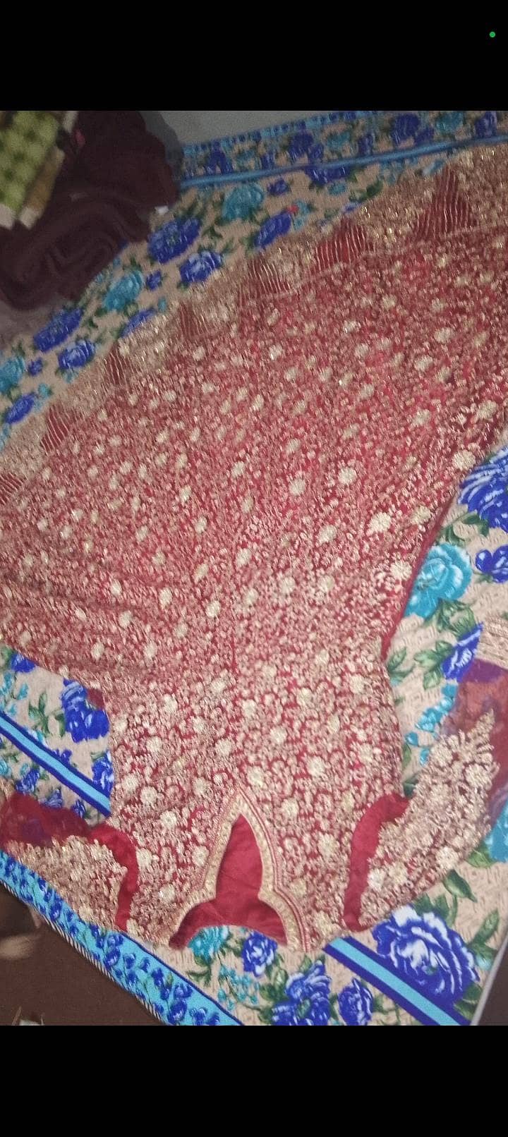 net maxi 1