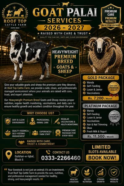 Goats Palai