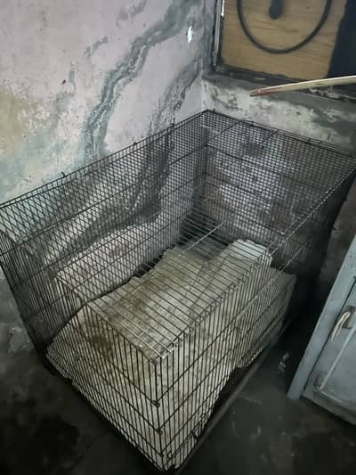 Full size Dog cage