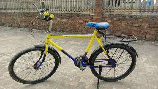 24" Phonex Cycle