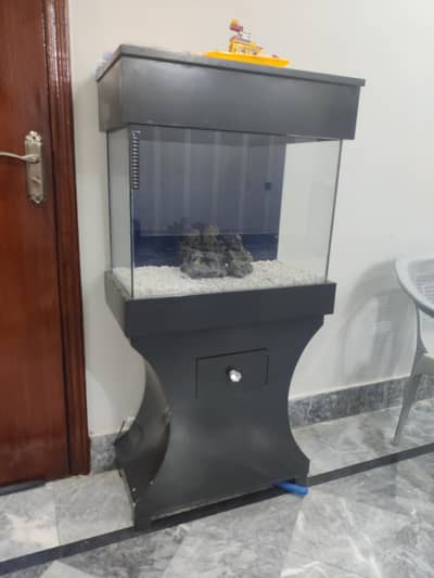 Complete 2 Feet Fish Aqurium Setup