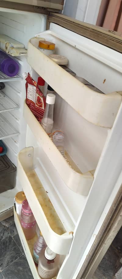 big size fridge