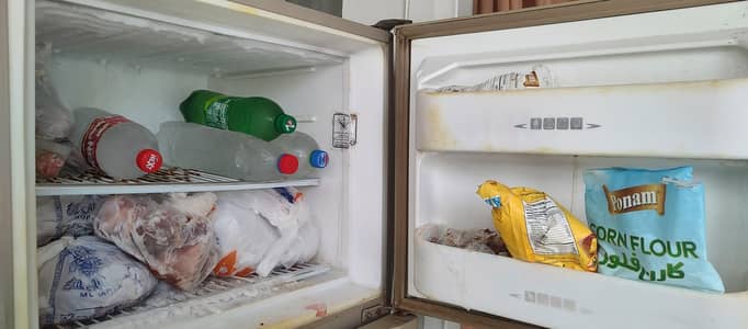 double door fridge and deep freezer