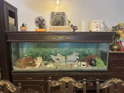 Aquarium for Sale