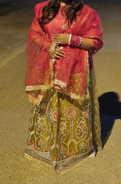 colourful lehenga