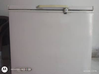 Waves Deep freezer