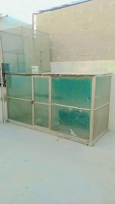Pigeon cage kabutar ka penjra for sale
