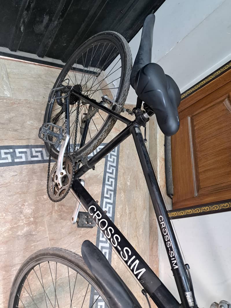 Imported Cycle Cross Sim 17