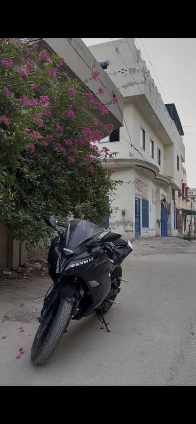 Kawasaki replica 250cc