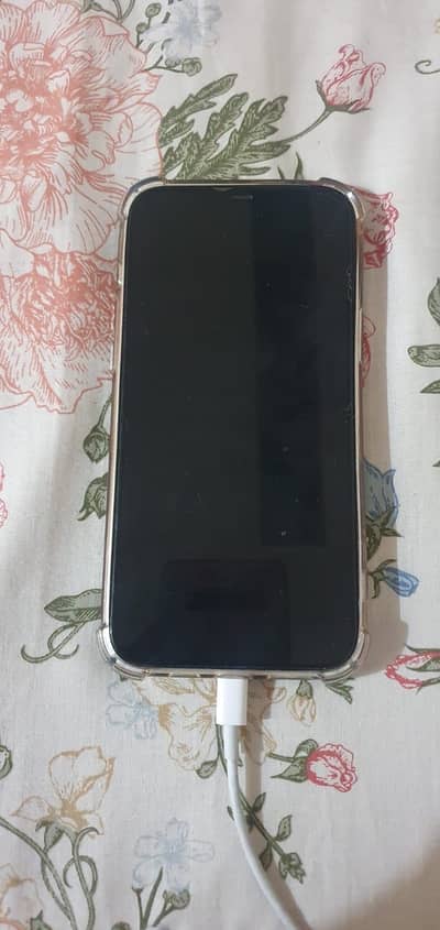 Apple iPhone 12 Pro Max