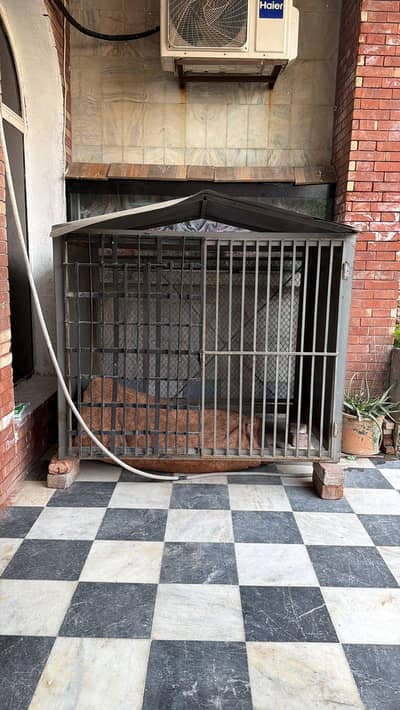 cage for sale