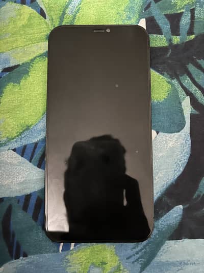 Apple iPhone 12 Pro Max