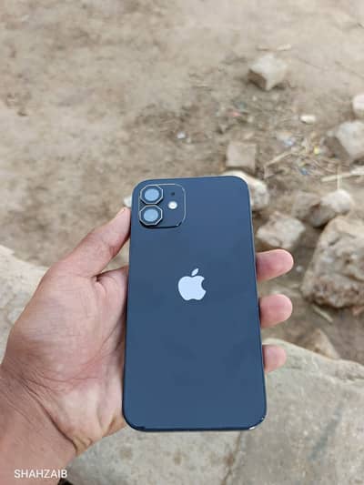 Apple iPhone 12