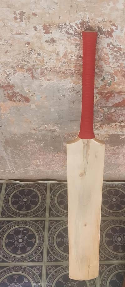 Bat. . .