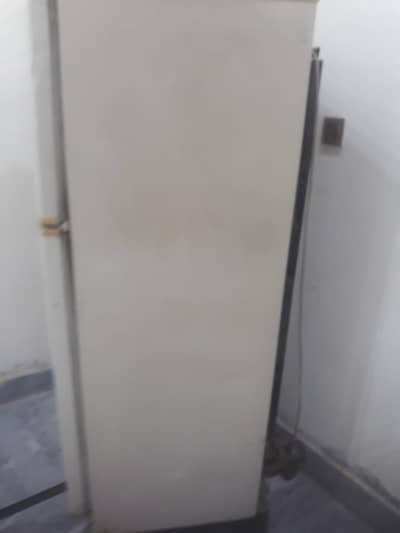 pel refrigerator  working  position  looks news