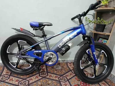 CRUISE BIKE Cycle 20" with Shocks & Lights Just 2 Months Used