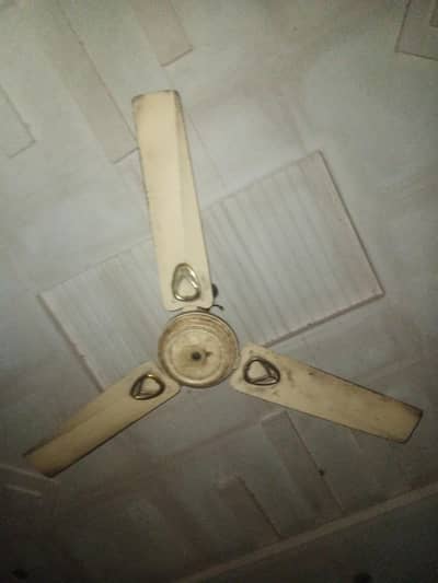 All ok Fan Hai Location Lahore. .