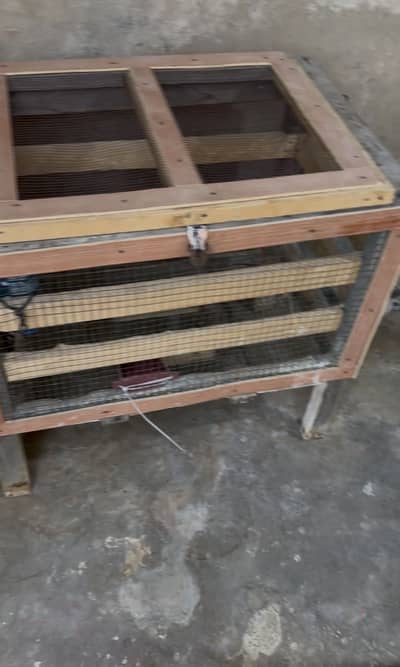 Cage for a rabbits