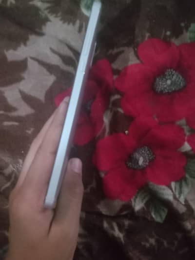 Nokia 6 pta approve