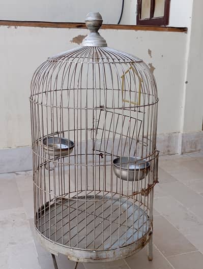 Breeders Parrots, budgeis , cocktail , Green Parrots with Cages setup