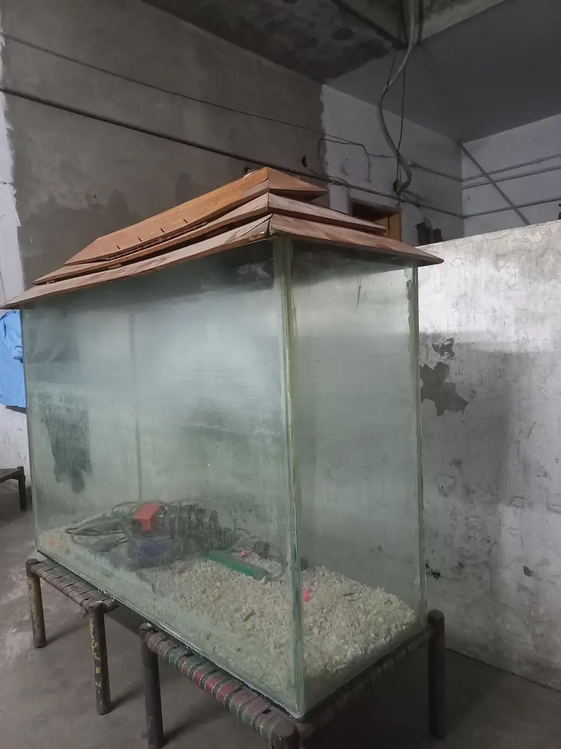 Fish Aquarium  [3feets X 1feet] — photo 2