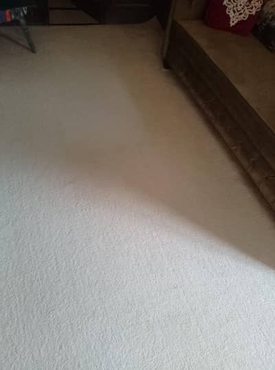 Venus plain beige carpet, 15 by 11, excellent condition