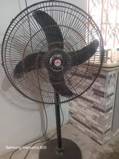 Royal Fan