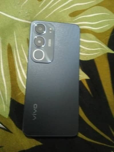vivo y 19s