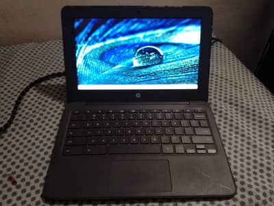 HP CHROME BOOK