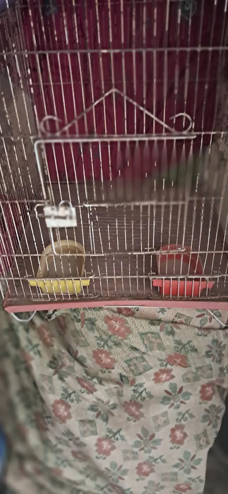 cage for sale in lahore ph 03354578616 — photo 2