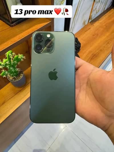 Apple iPhone 13 Pro Max