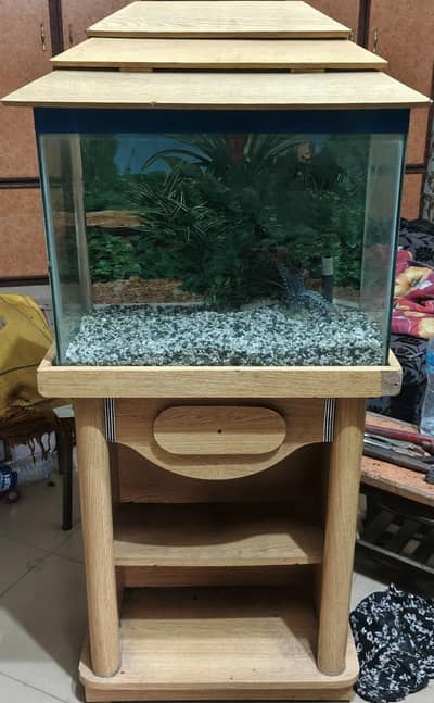 Fish Aquarium
