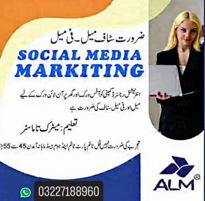 online job/ social media marketing