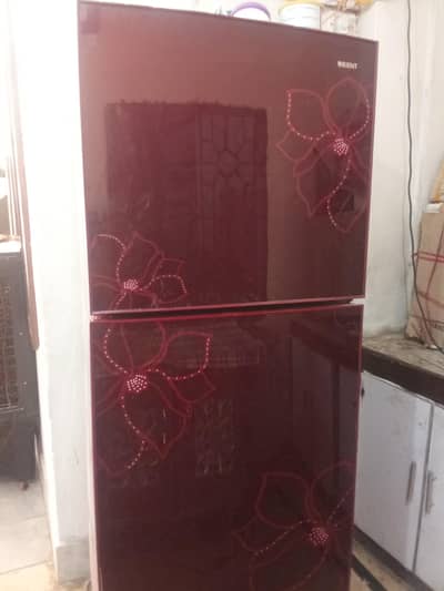 orient fridge