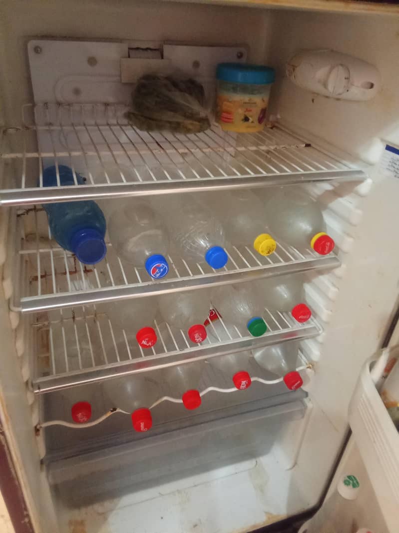 orient fridge 3