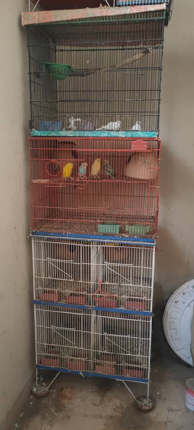 Buggies All setup with Cages for sale