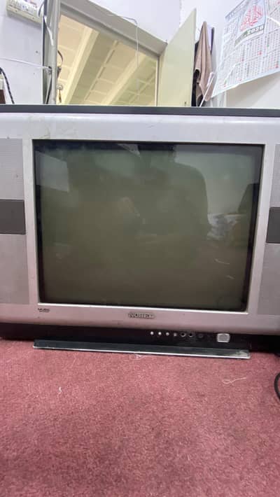 Nobel 24"
