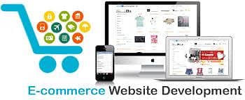Professional Website Development