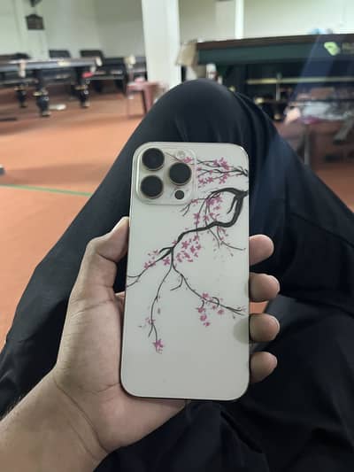 Apple iPhone 16 Pro Max