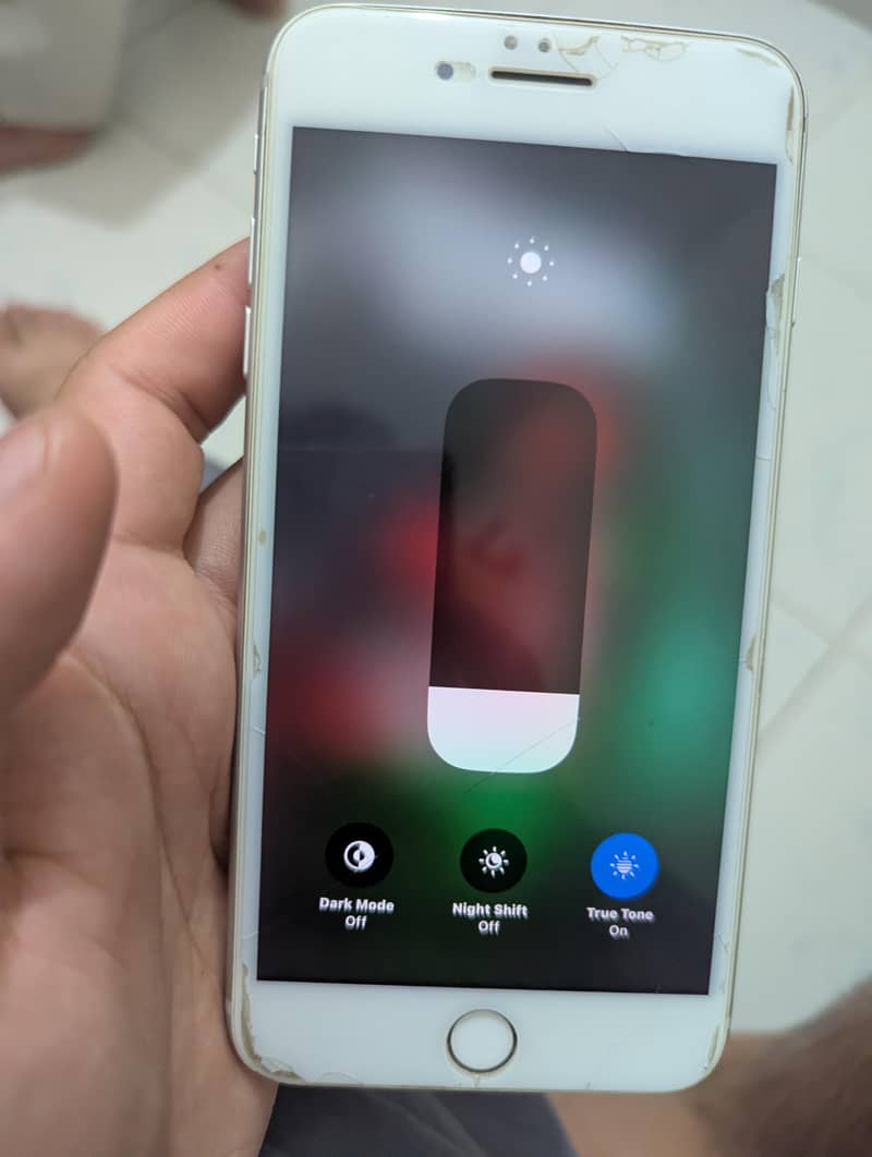 Apple iPhone 8 Plus 6