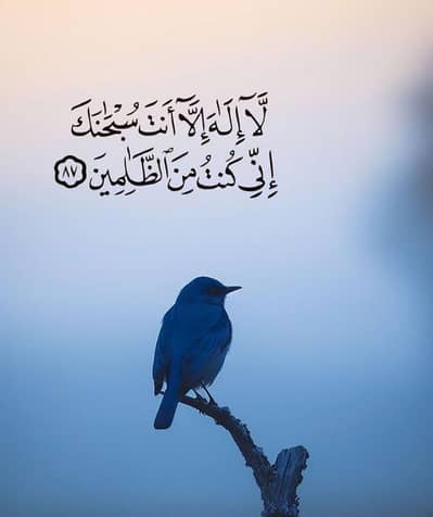 گھر میں کام کرنے کے لئے فی میل کی ضرورت ہے