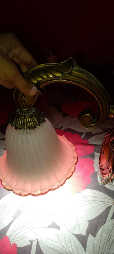 fanus lamp