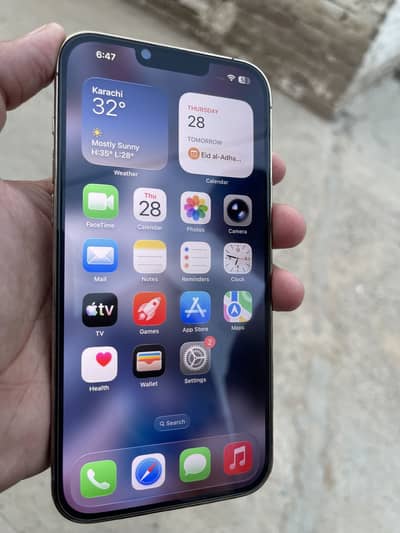 iPhone 13 Pro Max pta approved