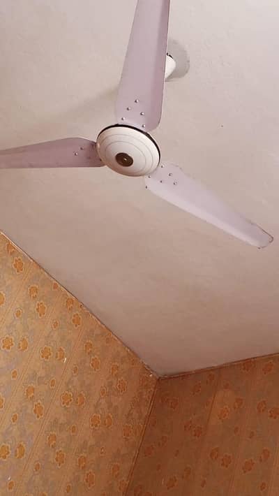total 3 Fan ha 100%ok ha koi foult nahi ha
