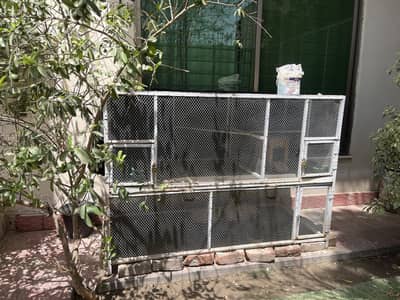iron cages| 2 portion cages_ love bird cage / pinjra