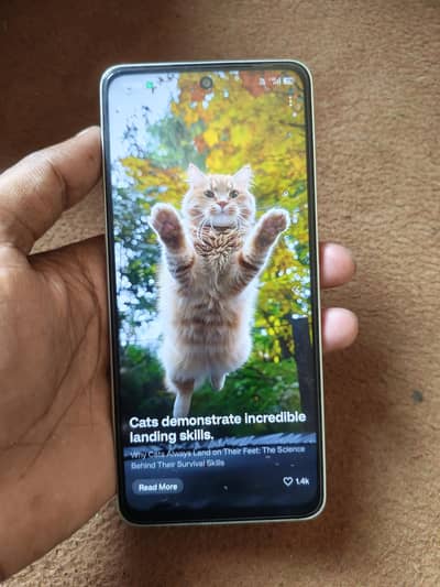 OPPO A5 Pro 8+8 /256