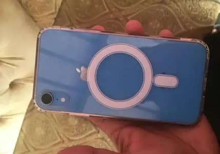 Xr blue jv