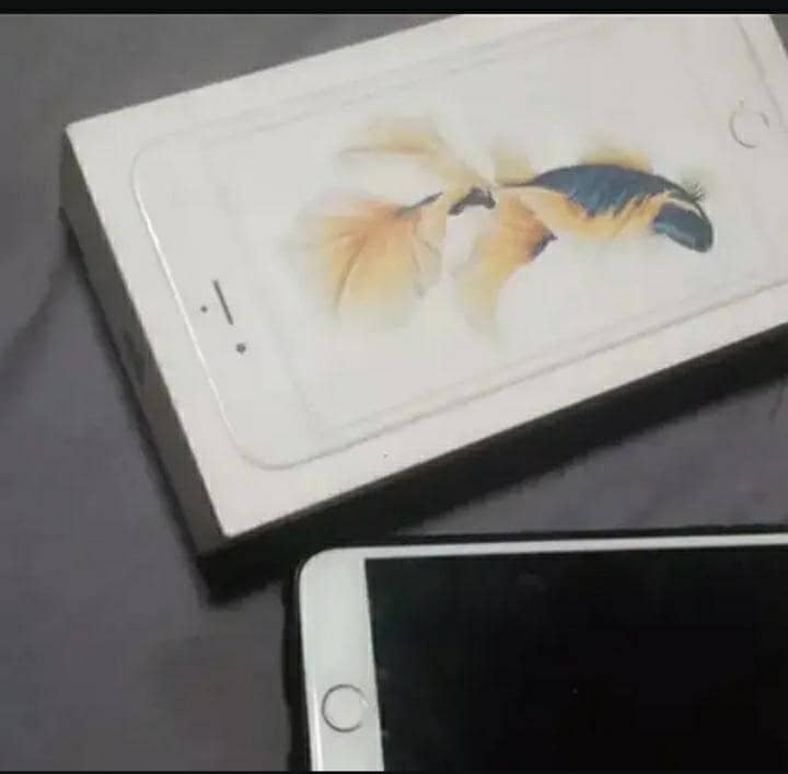Apple iPhone 3