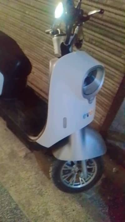 evee nisa urgent sale