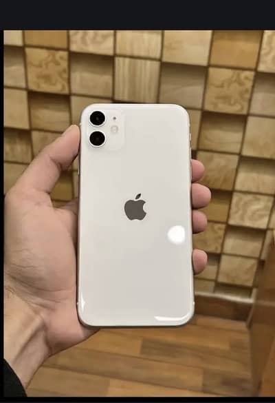Apple iPhone 11 nonpta 10/10